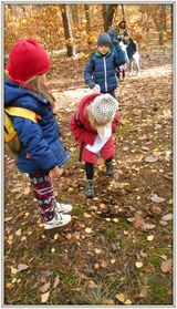 Wśród liści udało się odnależć  ukryte dobrze  grzyby.