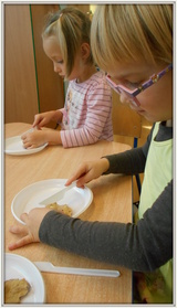 Odkrywanie etapówrozwoju galasówki dębianki